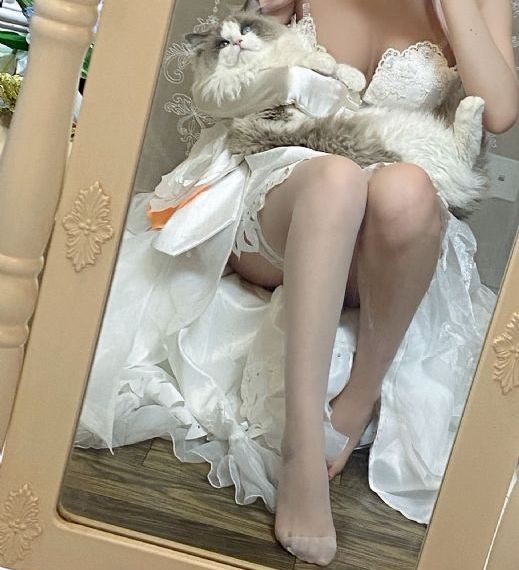 罗马的房子在线观看