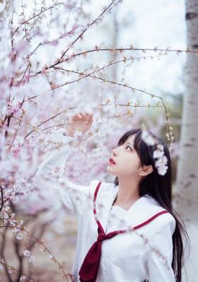 平鹰坟老电影在线观看